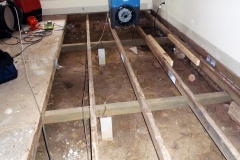 Mould Remediation